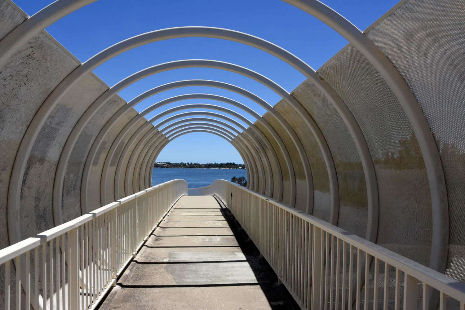 Tunel pod Świnią